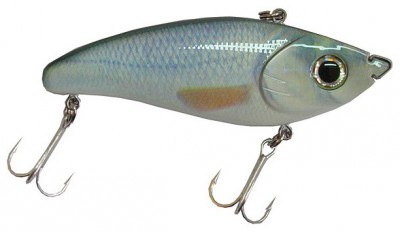 Screamin`Devil color Natural Roach